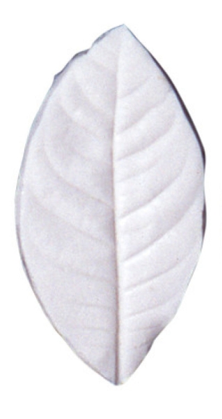 Leaf Veiner - Gardenia